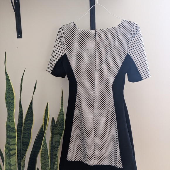 Polka dot Max and Cleo XS cocktail dress - Picture 2 of 8